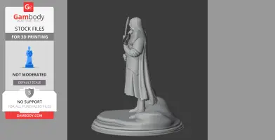 Cathedral Guard Tunic - Character Figure STL