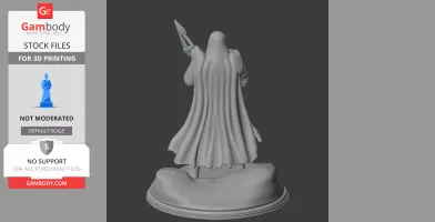 Cathedral Guard Tunic - Character Figure STL