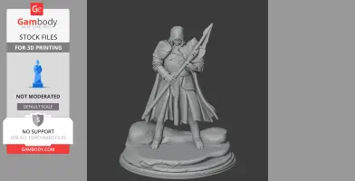 Cathedral Guard Tunic - Character Figure STL