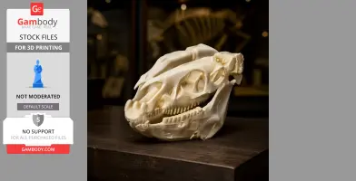 A 3D-printed Pliohippus skull replica is displayed on a dark surface, showcasing detailed bone structures.