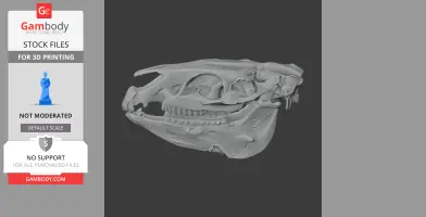 3D model of a Pliohippus skull for 3D printing, showing detailed bone structures from the side.