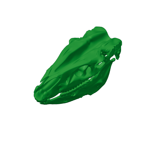 Pliohippus Skull.3mf
