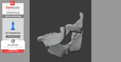 3D model of a Port Jackson shark skull for printing, with detailed jaw and teeth structure, displayed on Gambody.