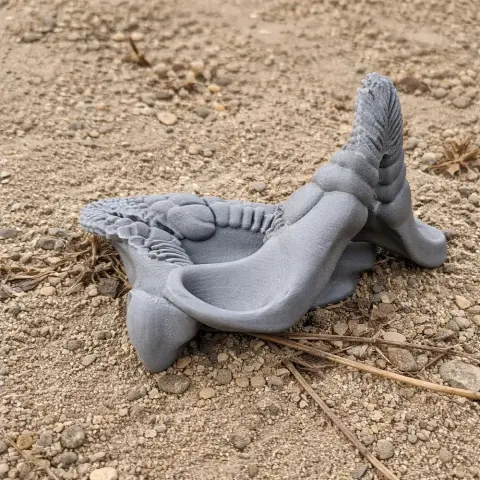 3D-printed Port Jackson shark skull replica displayed on sandy ground.