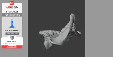 3D model of a Port Jackson shark skull replica, featuring detailed ridges and contours.