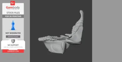 3D model of a Port Jackson Shark skull replica, showcasing its distinct jaw and teeth structure.