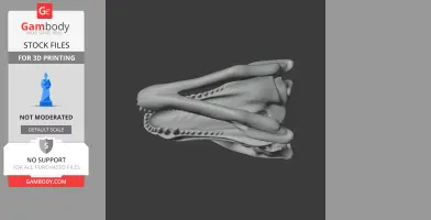 3D model of a Postosuchus skull, side view, showing intricate bone and tooth details.