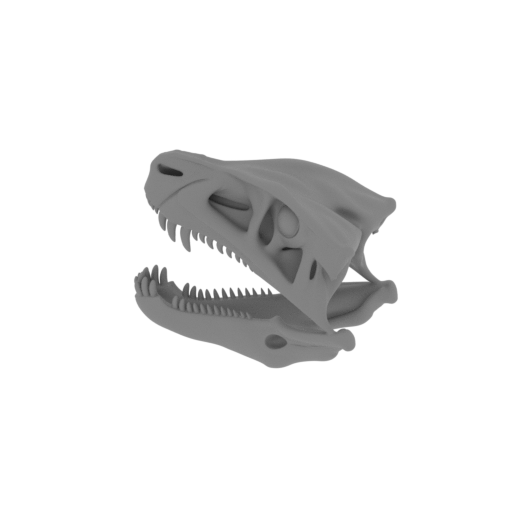 Postosuchus Skull.stl