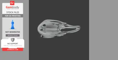 A detailed 3D model of a Potoo bird skull, designed for 3D printing.