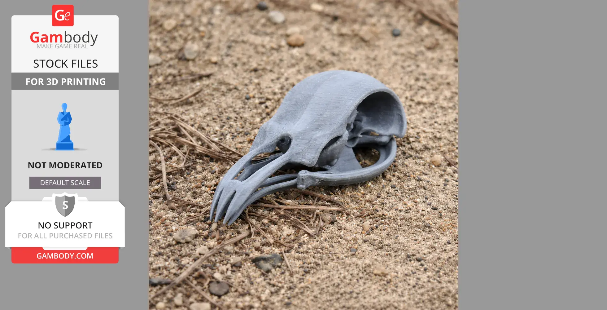 3D-printed potoo bird skull replica on sand, showing detailed bone structure.