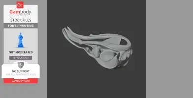 3D model of a Potoo bird skull with elongated beak structure, showing detailed bone features.