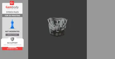 3D model of a Potoo bird skull with intricate, detailed features, designed for 3D printing.