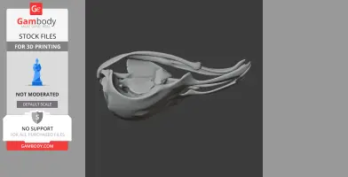 3D model of a Potoo bird skull, detailed and elongated for printing.
