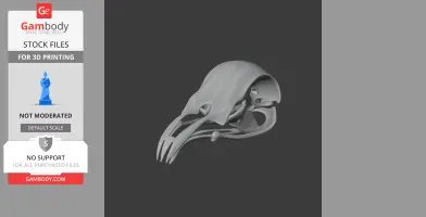 3D model of a Potoo bird skull with intricate details, rendered for 3D printing.