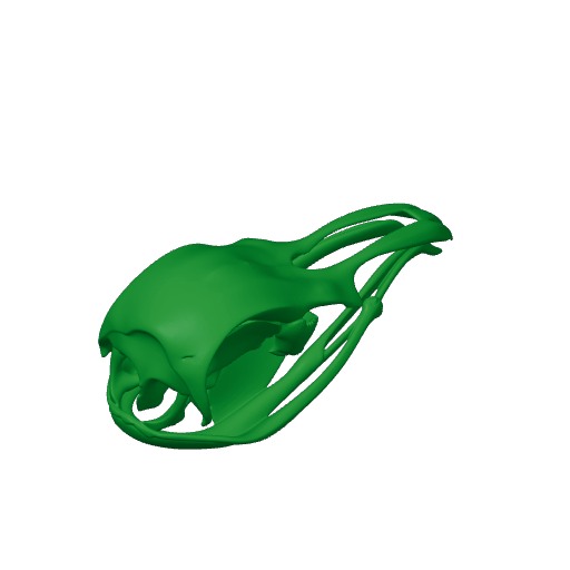 Potoo Skull.3mf