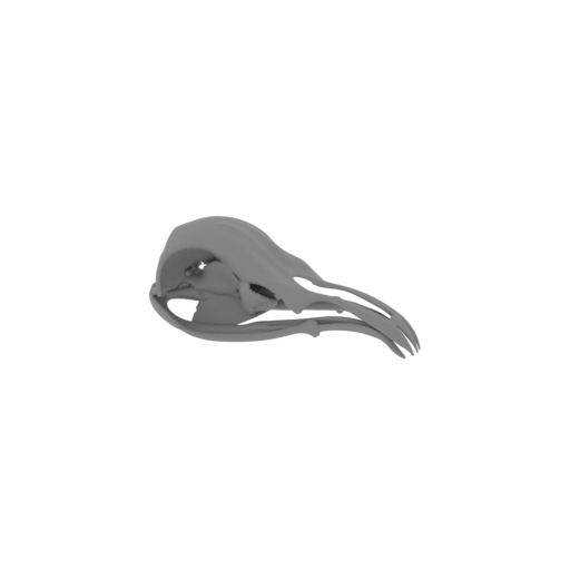 Potoo Skull.stl