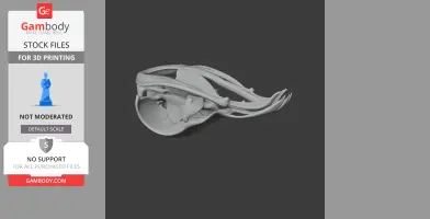 3D model of a Potoo skull, showcasing detailed bone structure for printing.