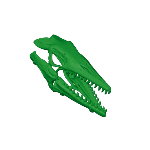Priodontognathus Skull.3mf
