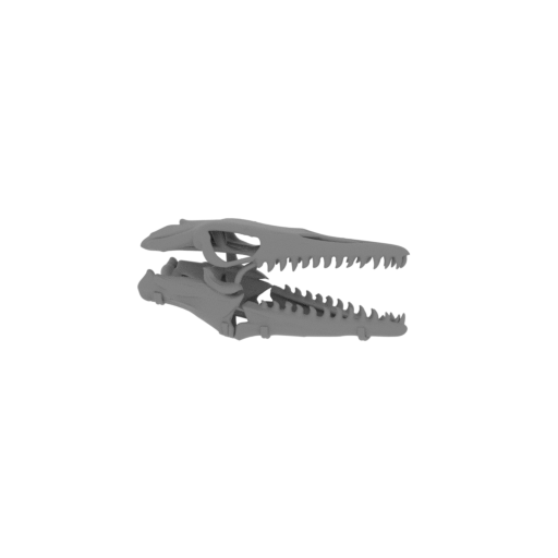Priodontognathus Skull.stl