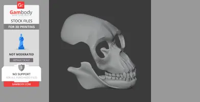 Side view of a 3D model of a Proconsul skull, showcasing detailed features for 3D printing.