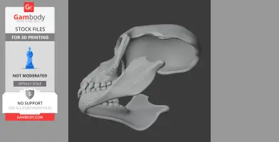 A digital 3D model of a Proconsul skull displayed for 3D printing.