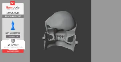 3D model of a Proconsul skull replica, displaying detailed bone structure for 3D printing.