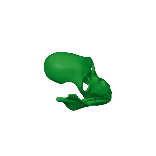 Proconsul Skull.3mf