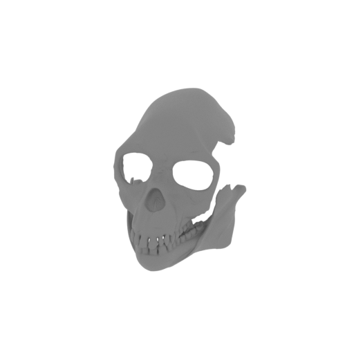 Proconsul Skull.stl