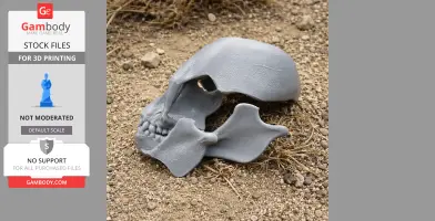 Gray 3D-printed Proconsul skull replica lies on sandy ground with sparse vegetation.