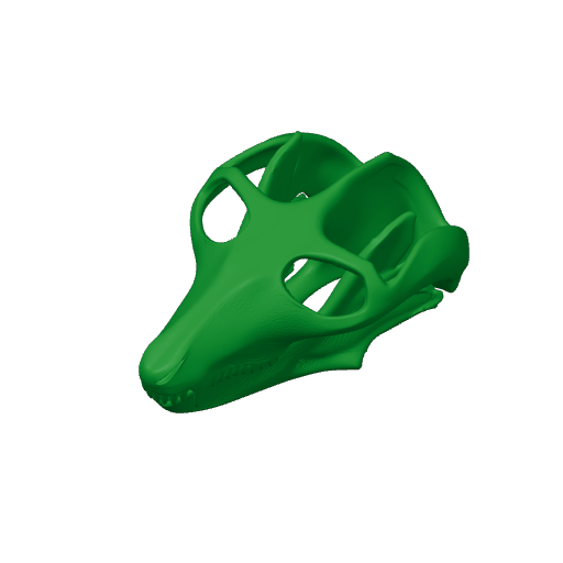 Prodeinodon Skull.3mf