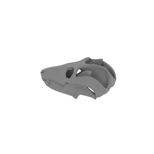Prodeinodon Skull.stl