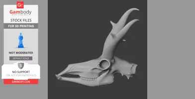 Pronghorn Skull - Skull Replica STL