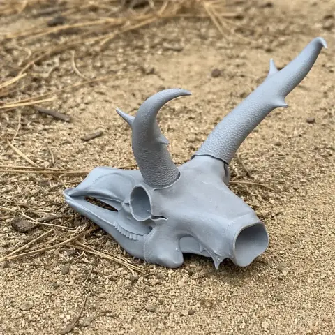 Pronghorn Skull - Skull Replica STL