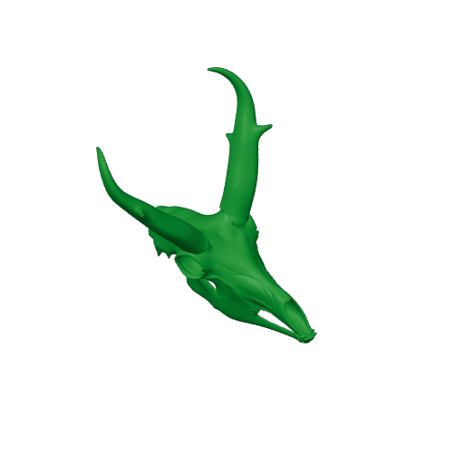 Pronghorn Skull.3mf