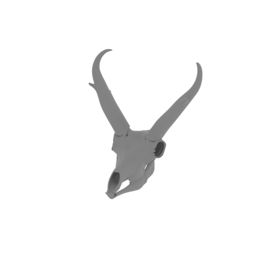 Pronghorn Skull.stl