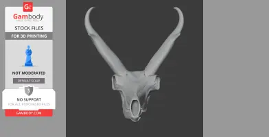 Pronghorn Skull - Skull Replica STL