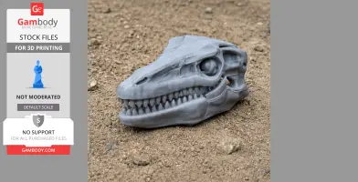 Protarchaeopteryx Skull - Skull Replica STL