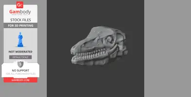 Protarchaeopteryx Skull - Skull Replica STL