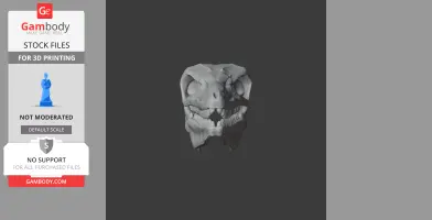 Protarchaeopteryx Skull - Skull Replica STL