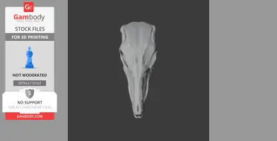 Protarchaeopteryx Skull - Skull Replica STL