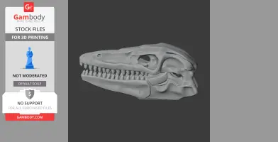 Protarchaeopteryx Skull - Skull Replica STL