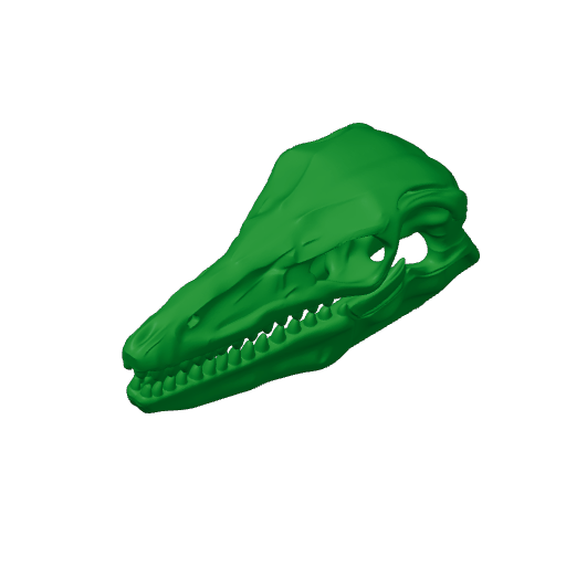 Protarchaeopteryx Skull.3mf