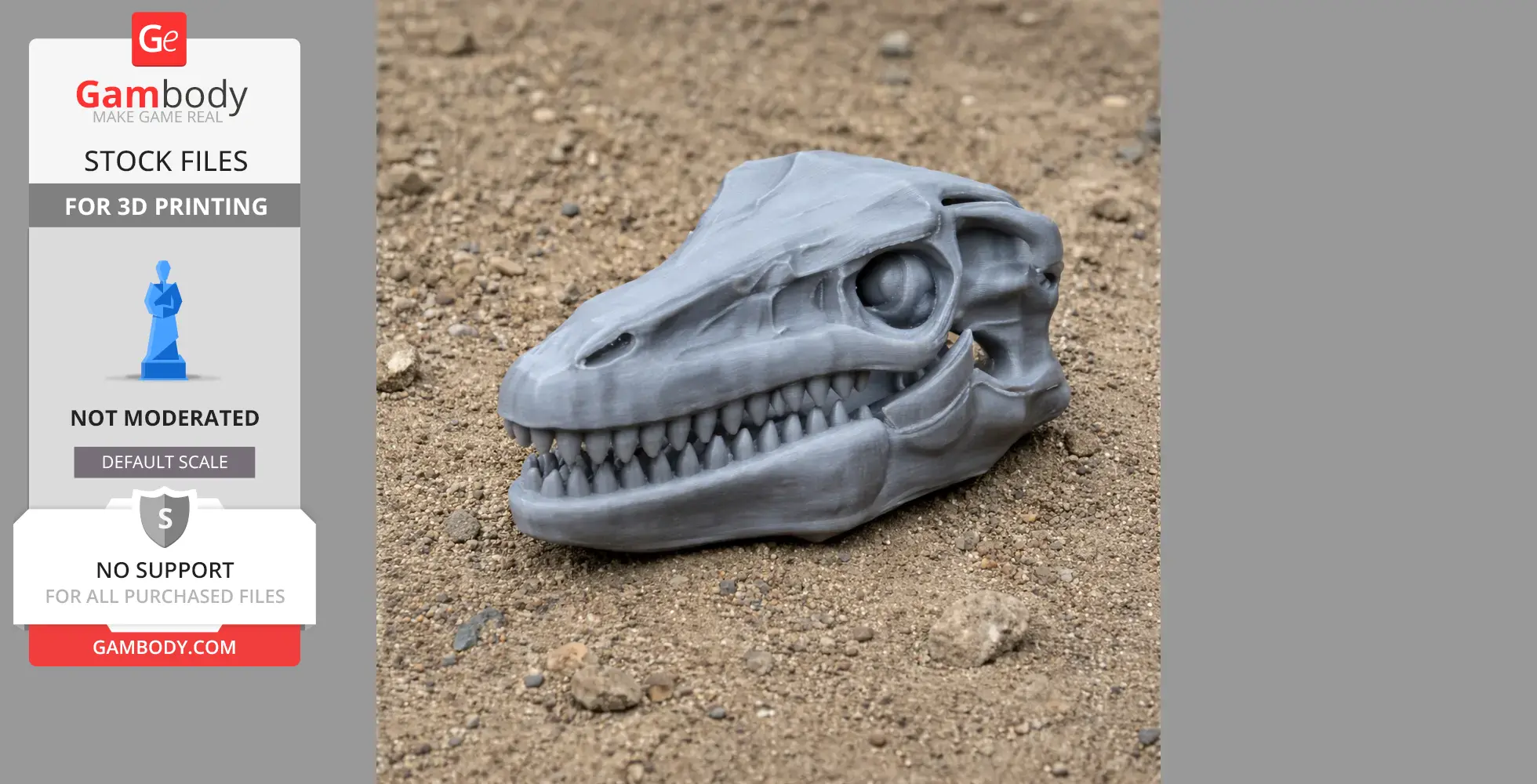 Protarchaeopteryx Skull - Skull Replica STL