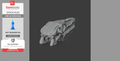 Protarchaeopteryx Skull - Skull Replica STL