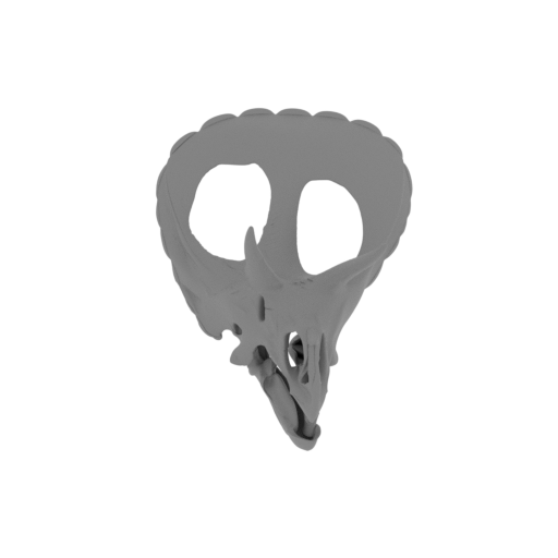 Protorosauria Skull.stl
