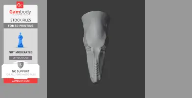 Asiatyrannus - Prehistoric Animal STL