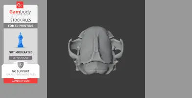 Puma Skull - Skull Replica STL