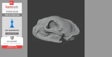 Puma Skull - Skull Replica STL