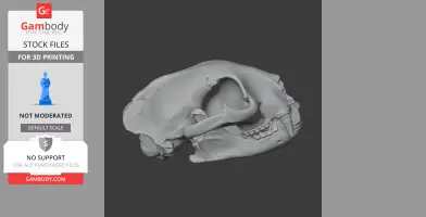 Puma Skull - Skull Replica STL