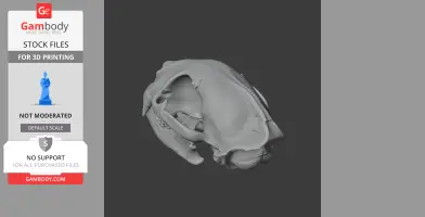 Puma Skull - Skull Replica STL